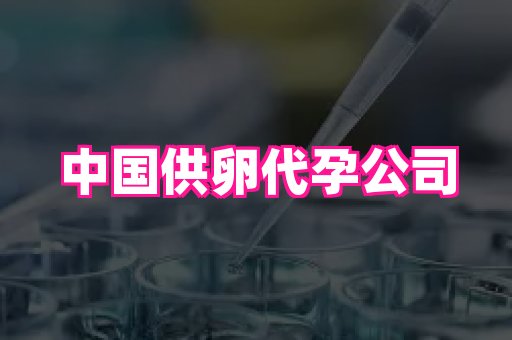 福建助孕网站 4